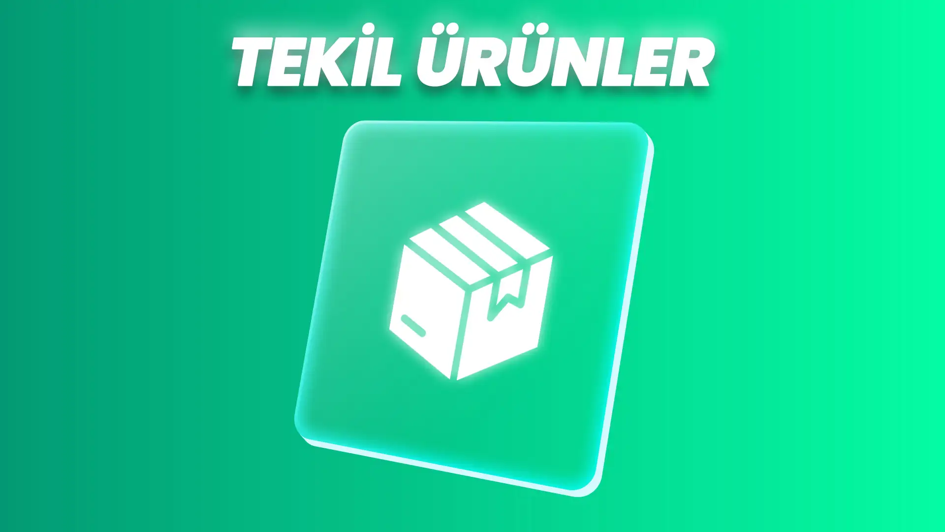 Tekil Ürünler